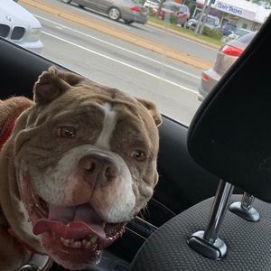 Meet your Posher, Nichelle